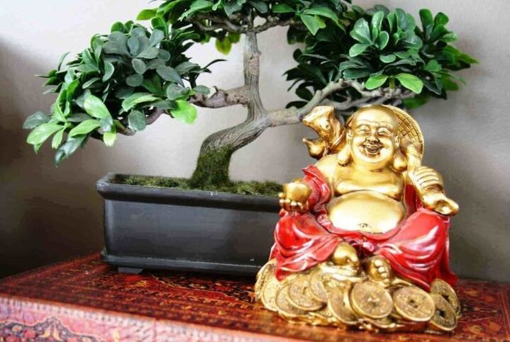 Šťastie a prosperita v domácnosti podľa Feng Shui